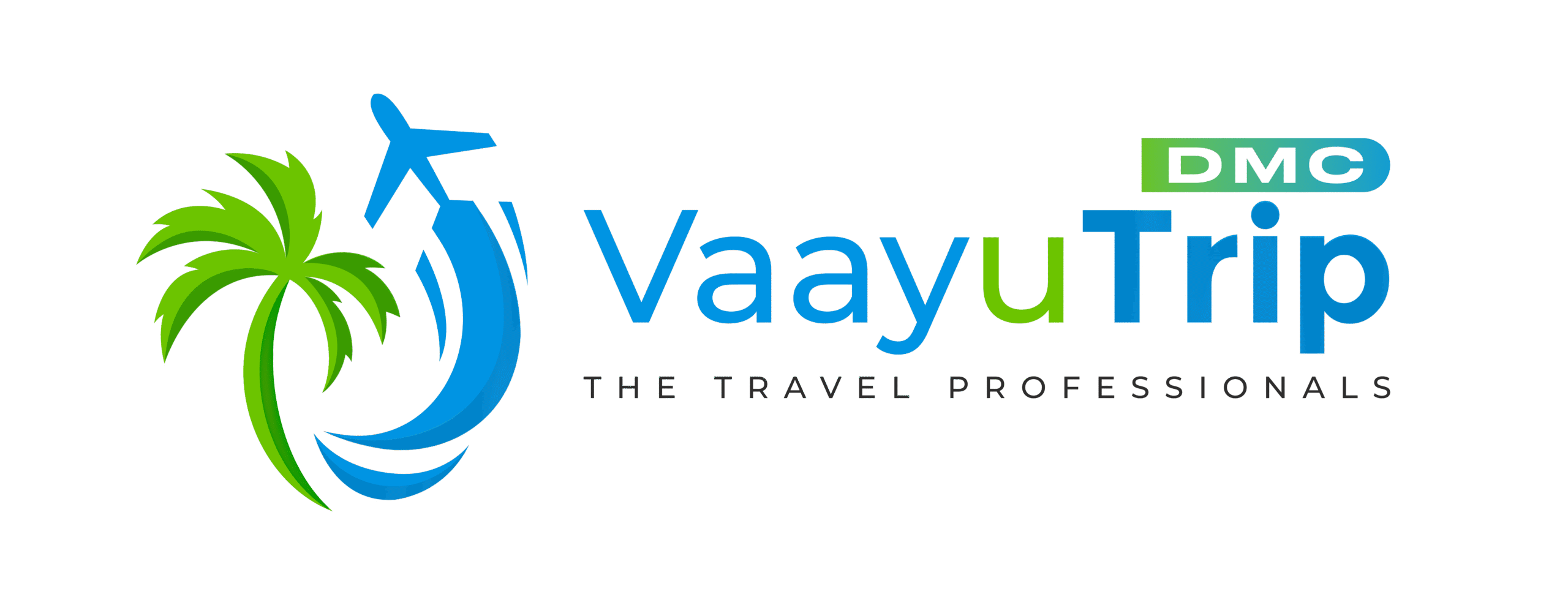 Vaayutrip DMC Logo TRANS