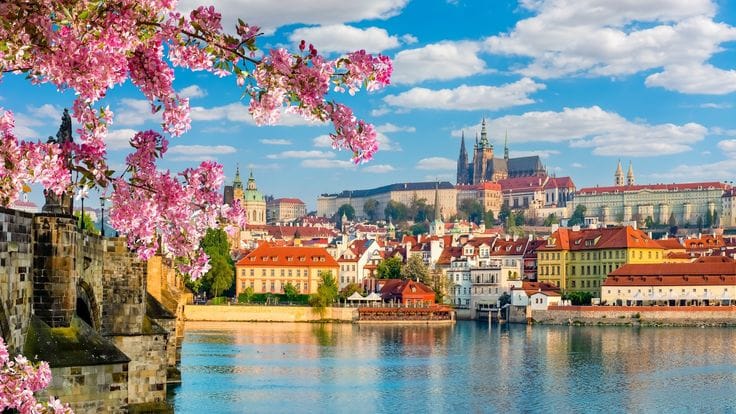 Best dmc for europe