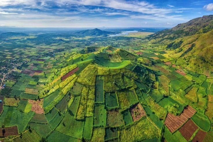 best DMC for Vietnam