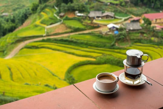 Vietnam’s Central Highlands coffee plantations, curated into authentic travel experiences by the best DMC for Vietnam.