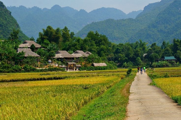 Vietnam