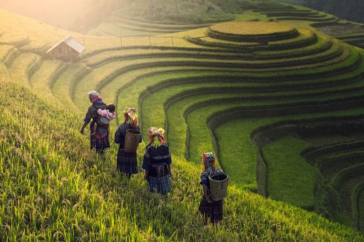 Vietnam