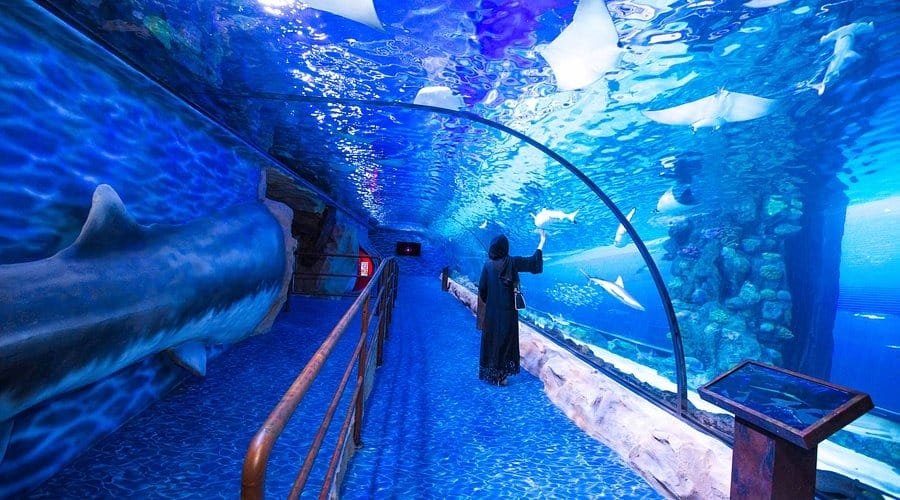 Best dmc for dubai 