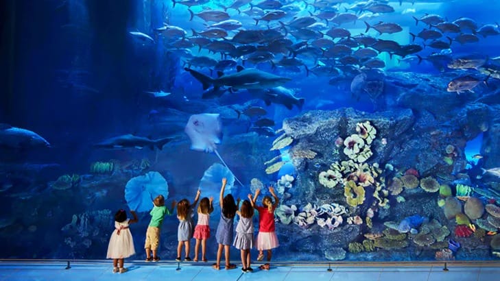 Dubai tour package from delhi