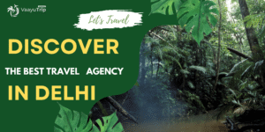Best Travel Agency in Delhi