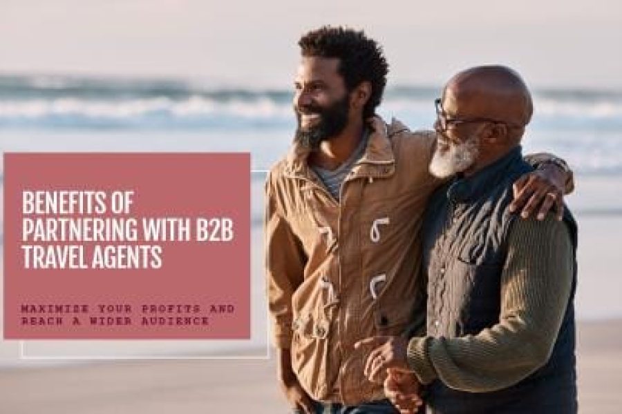 b2b travel agents